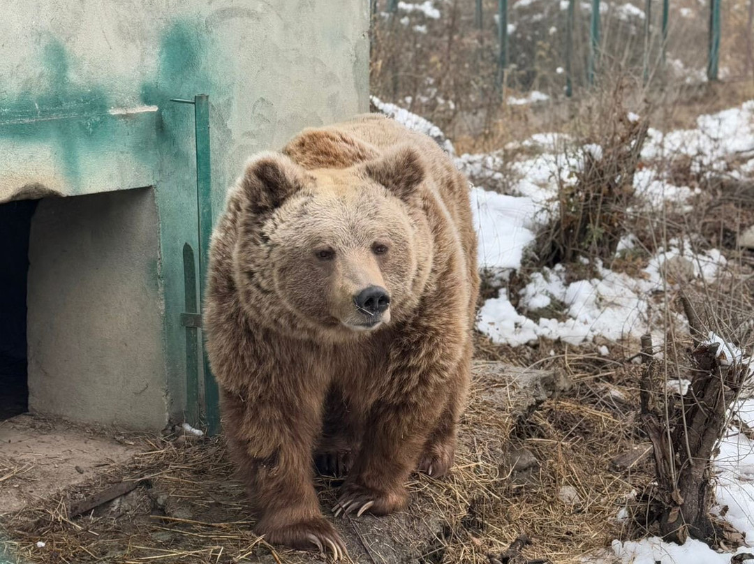 Dachigam Wildlife Sanctuary-斯利那加必去景点