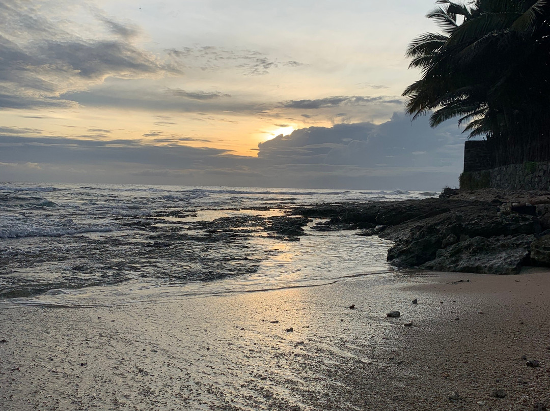Araliya Lanka Tours景点图片