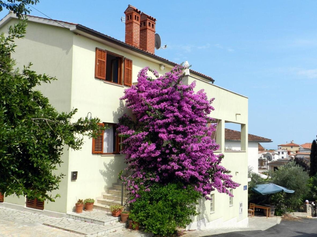 Mata Apartments