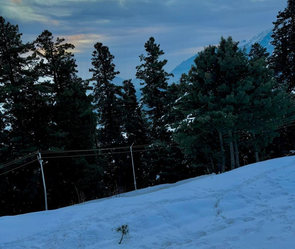 Royal Park Hotel主图