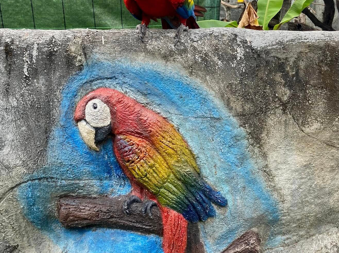 Rescue Center Costa Rica-阿拉辉拉必去景点