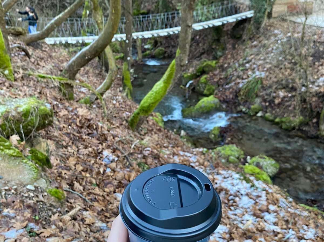 Recreational Park景点图片