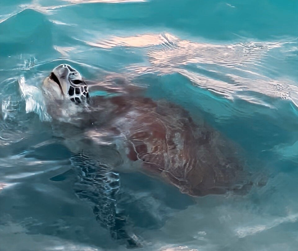 Beach Star Maldives主图