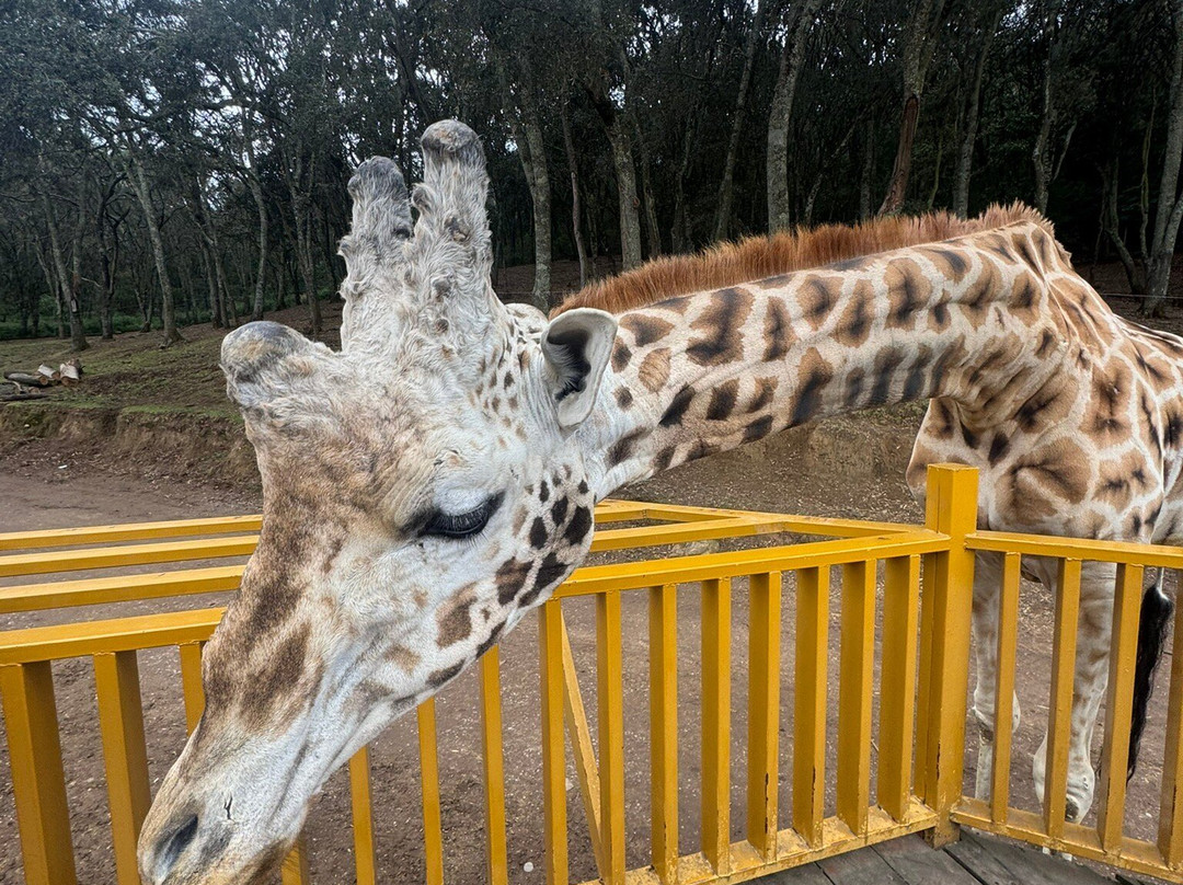 Bioparque Estrella México景点图片