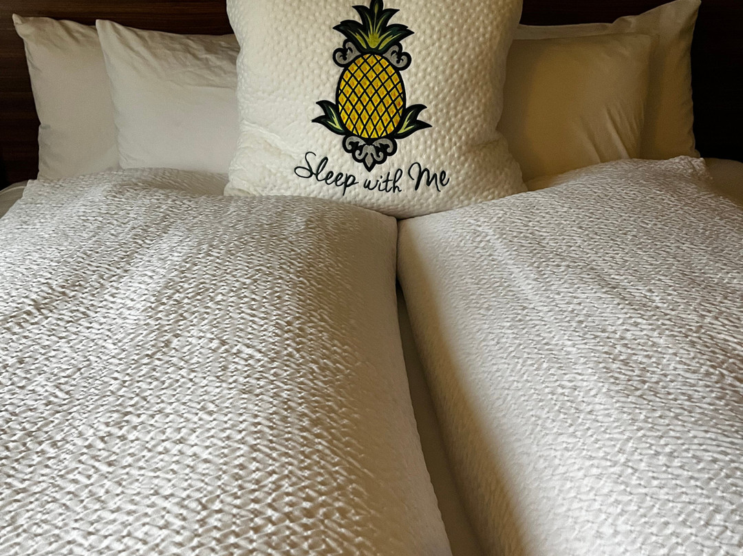 麦克斯韦酒店-菠萝招款待主图