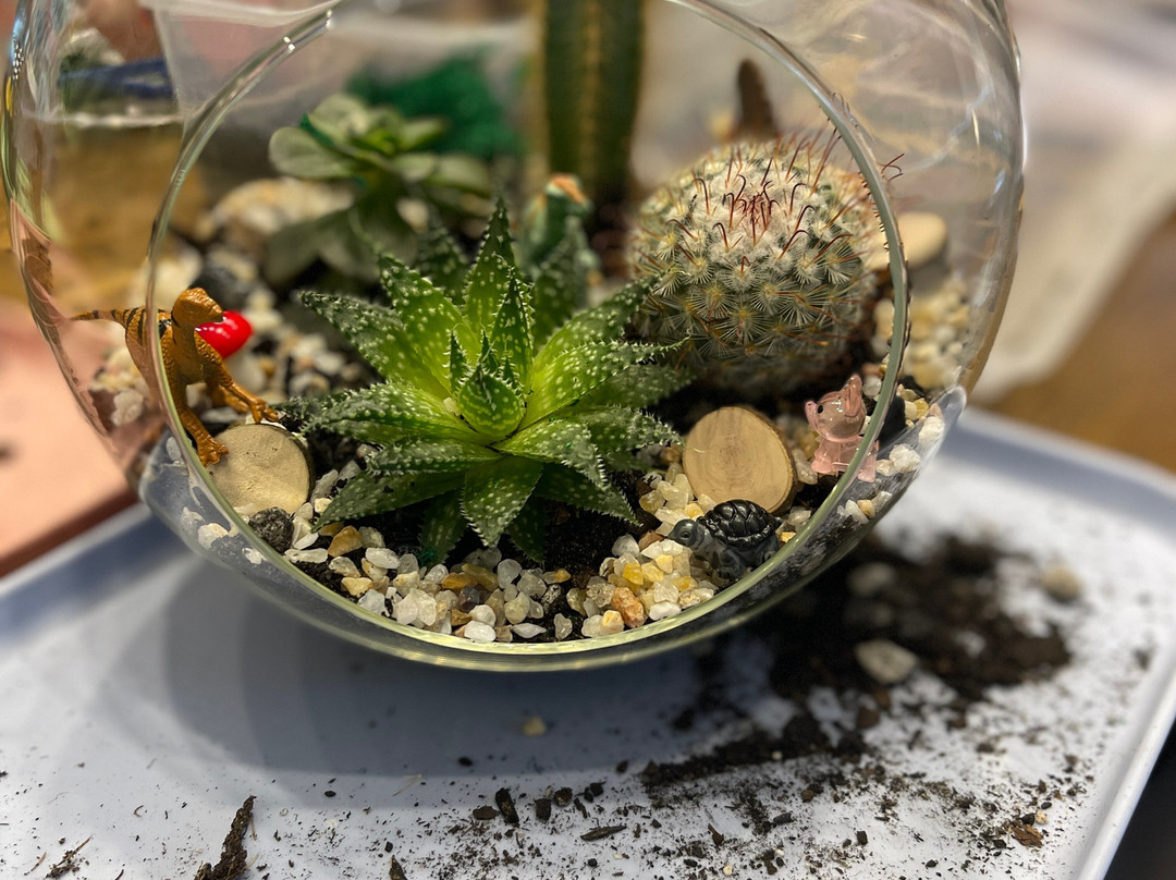 Abby's Garden Parties