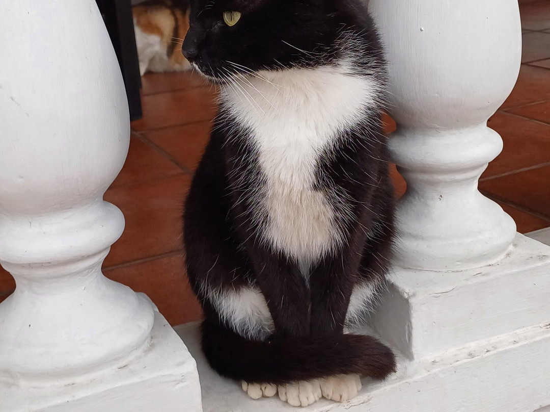 Posada El Quijote主图