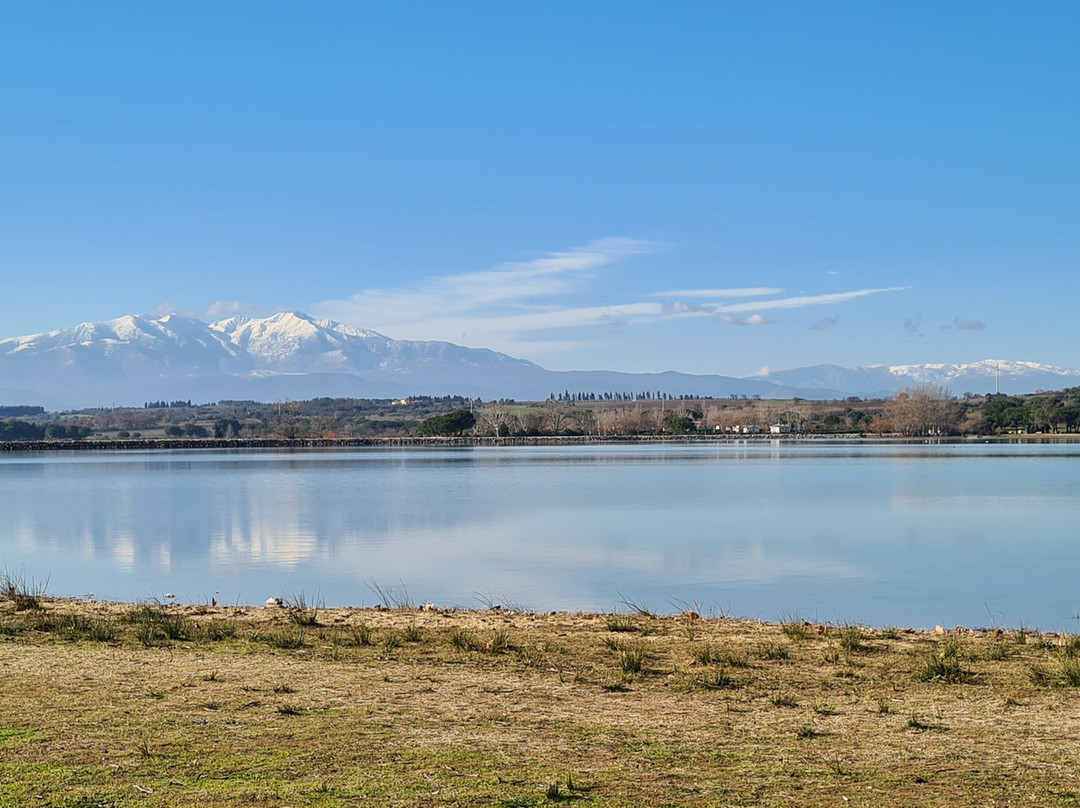 Lac de Villeneuve-de-la-Raho景点图片