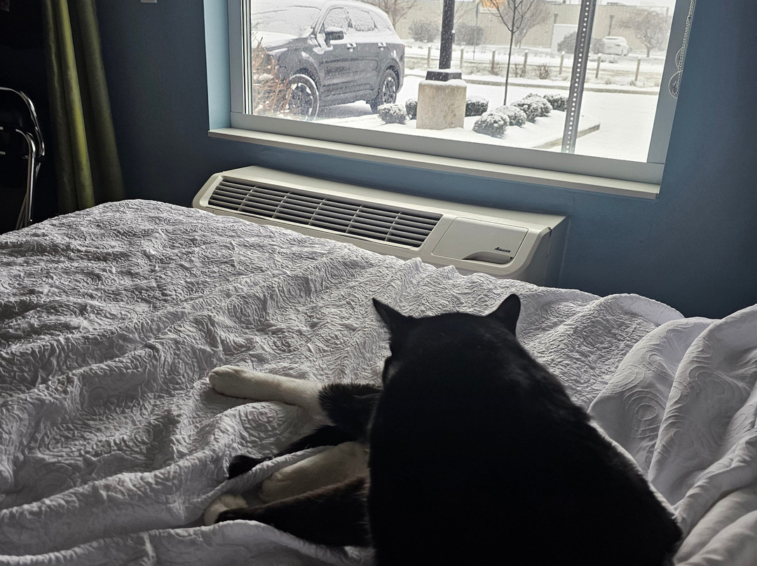 Home2 Suites by Hilton Fishers Indianapolis Northeast主图