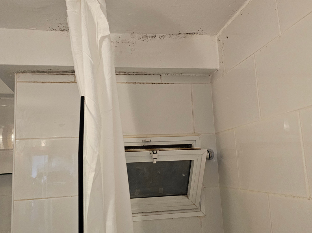 Ramon Suites Hotel主图