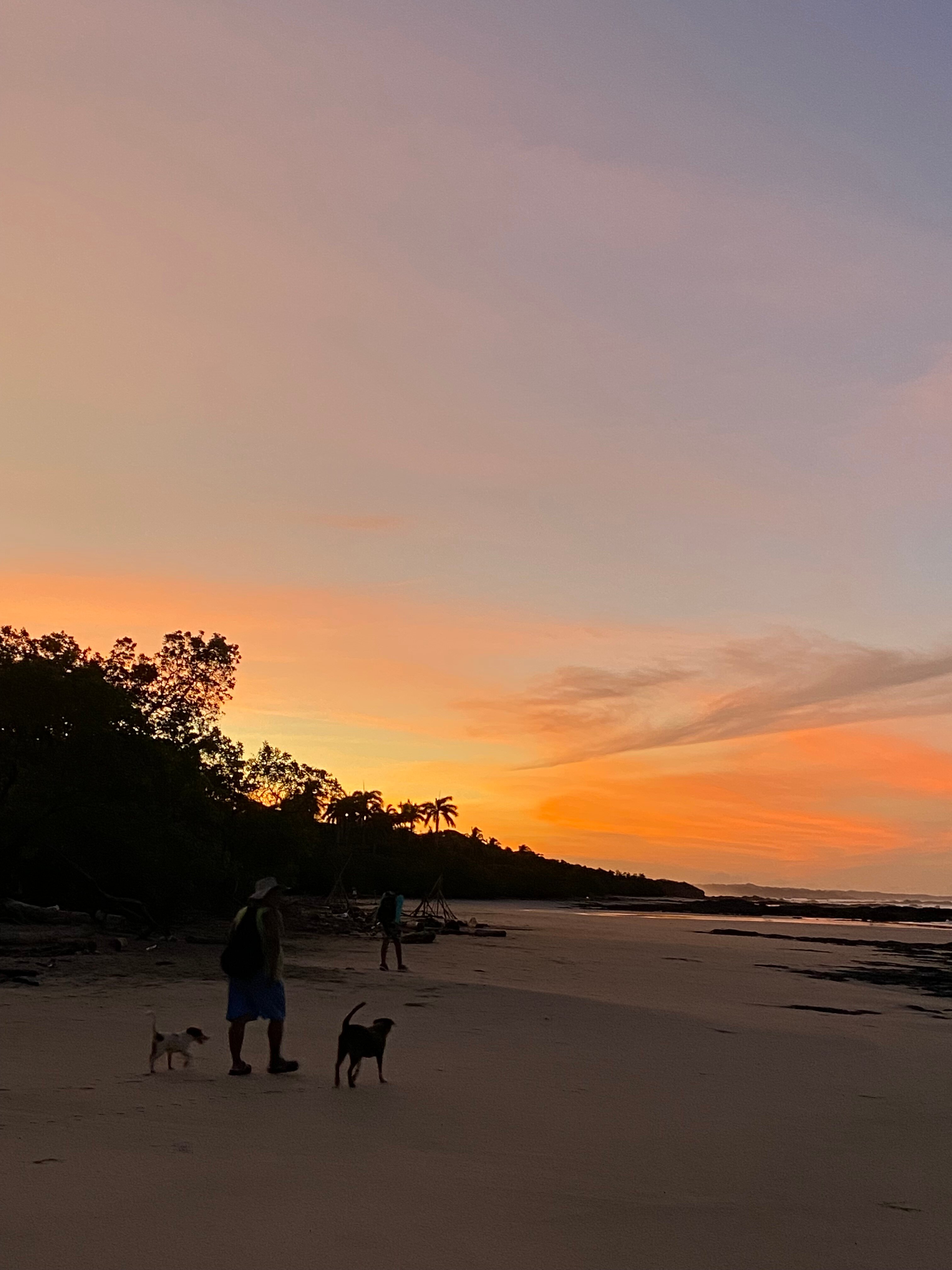 Playa Negra Surf Lodge-官方