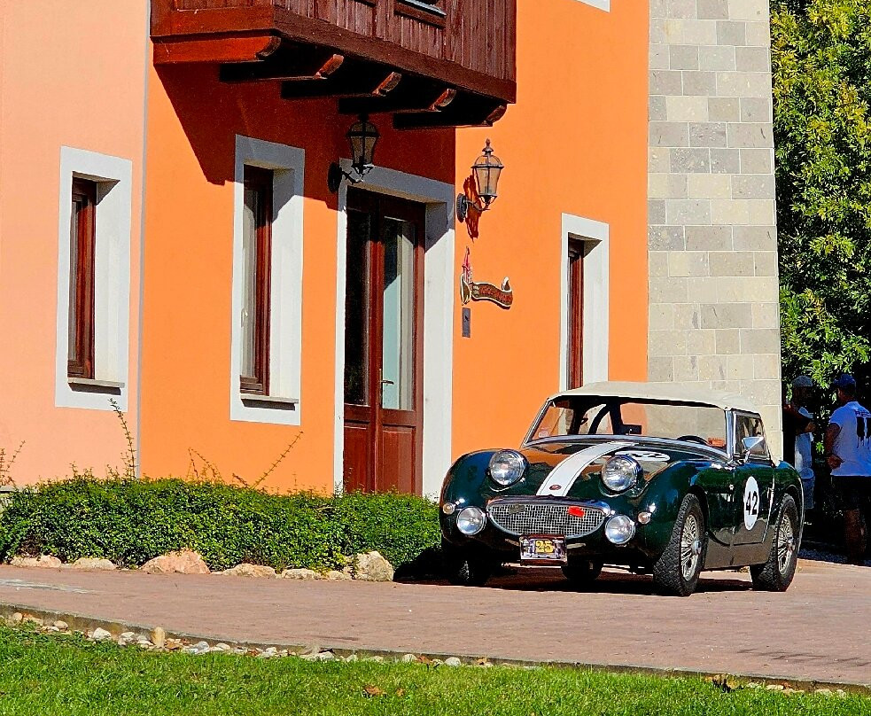 Hotel Vecsecity Superior主图