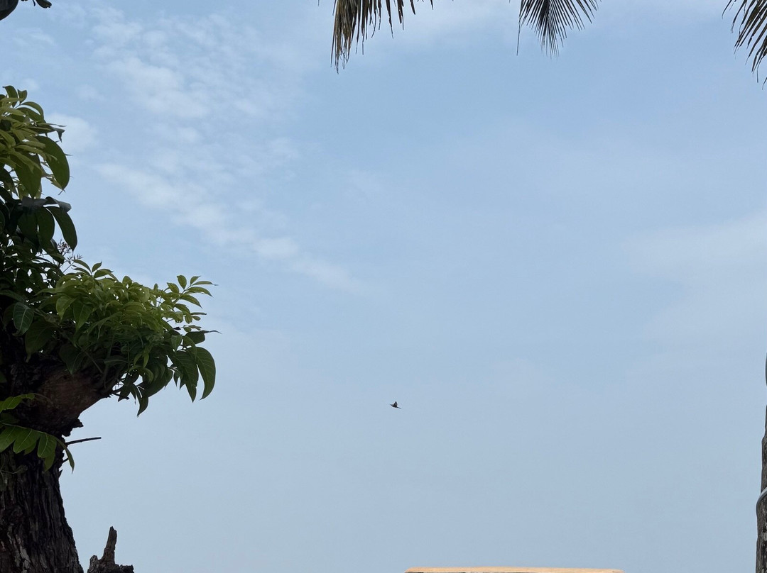 Uday Backwater Resort主图