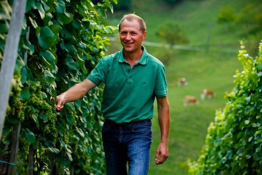 Plajnšek Winery-Kocice必去景点