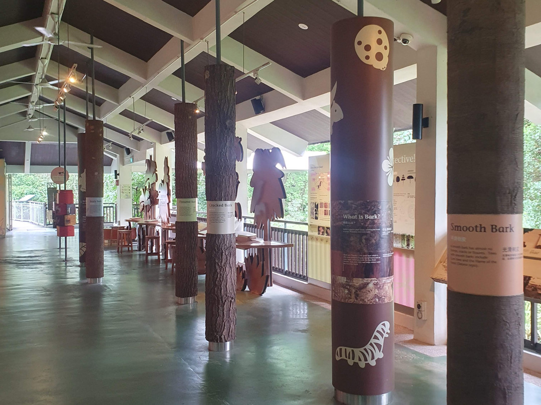 下畅游圣淘沙自然探索中心-圣淘沙岛必去景点