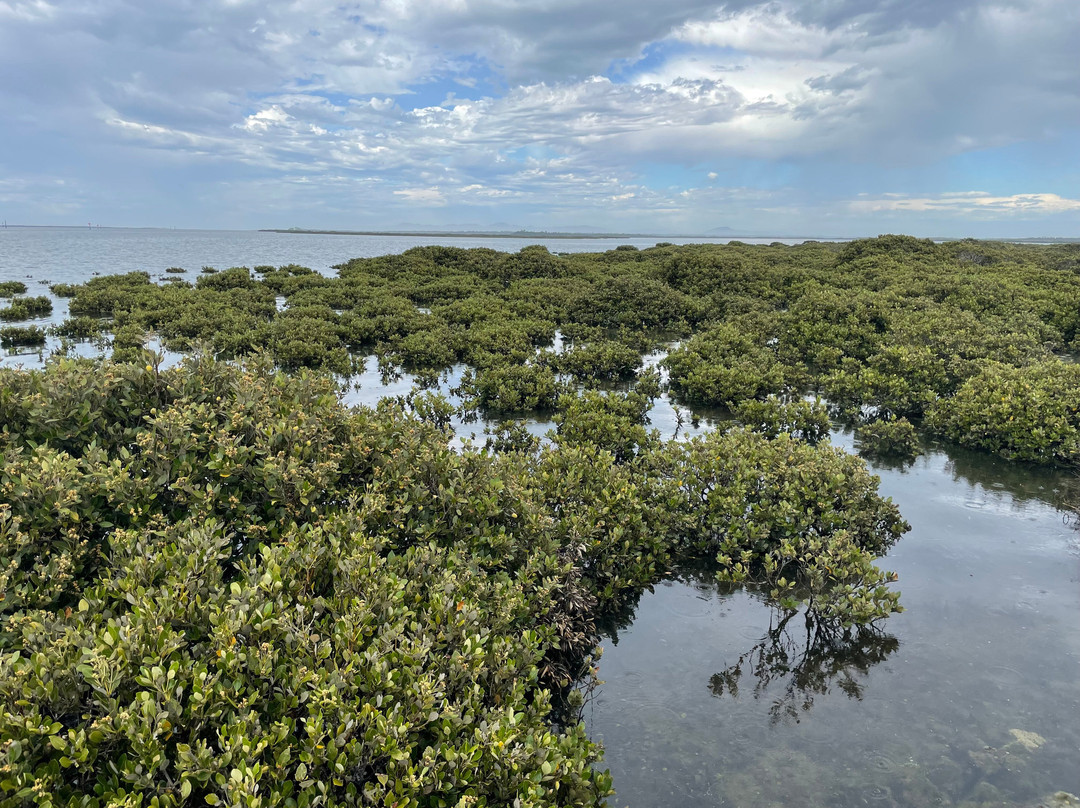 Christopher Robinson Walking Trail-Port Albert必去景点
