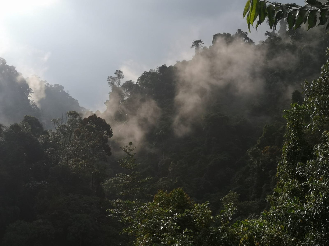 Back to Nature Ecotourism主图