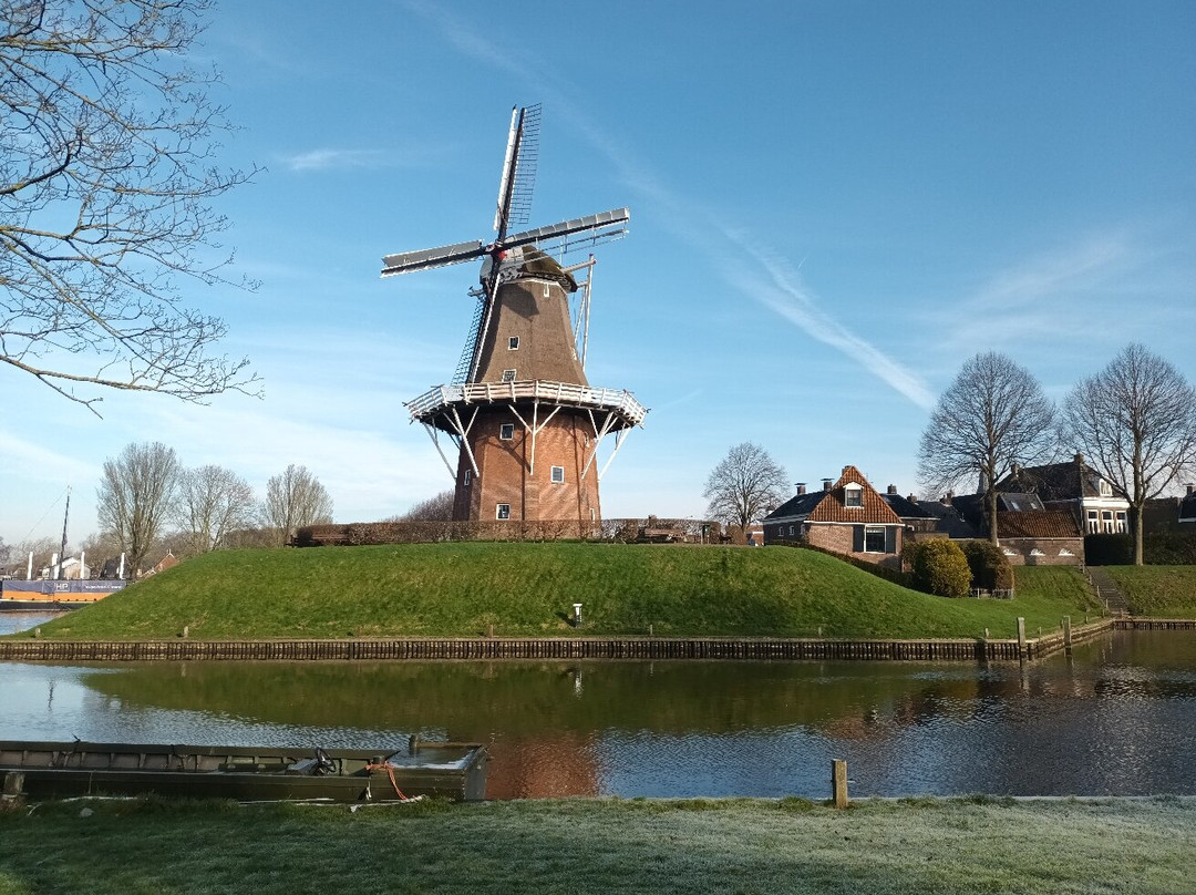 Molen Zeldenrust景点图片