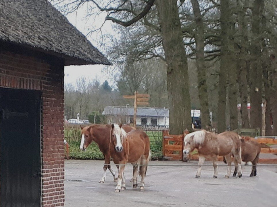 Boerderij Het Gagelgat-索斯特必去景点