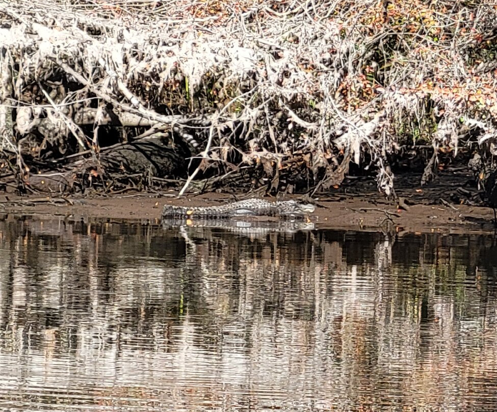 TNT Hideaway Day Tours-Crawfordville必去景点