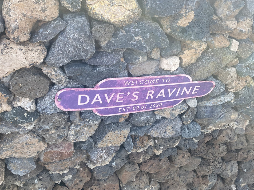 Dave's Ravine景点图片