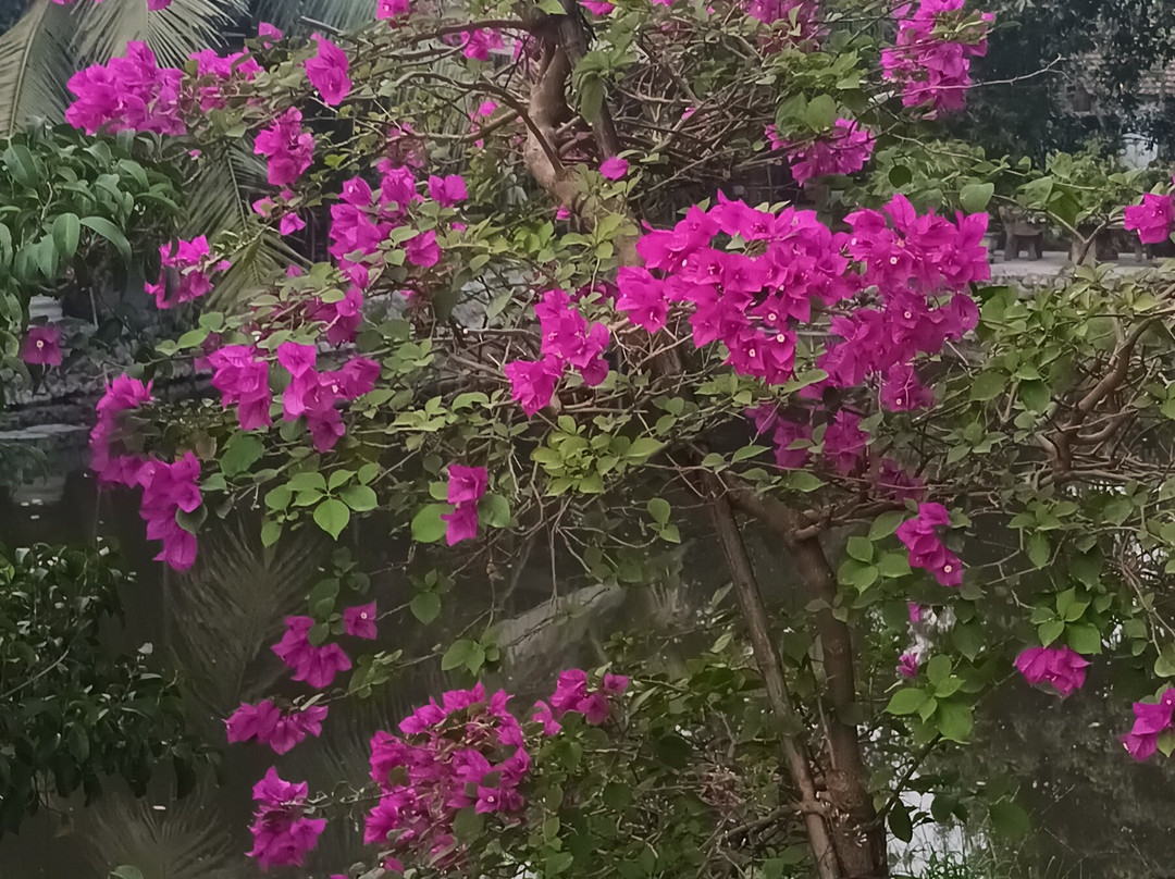 Le jardin de Tam Coc Homestay主图