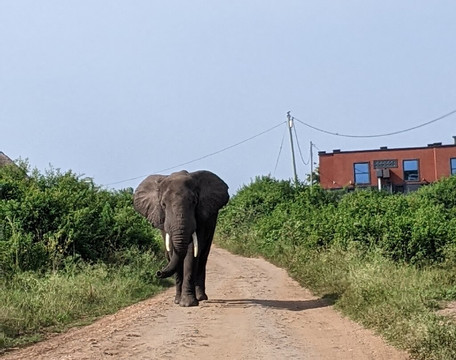 Dk Rent A Car Uganda-坎帕拉必去景点