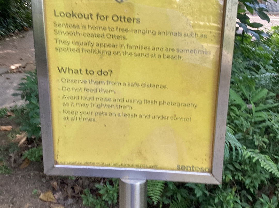 丹戎海滩-圣淘沙岛必去景点