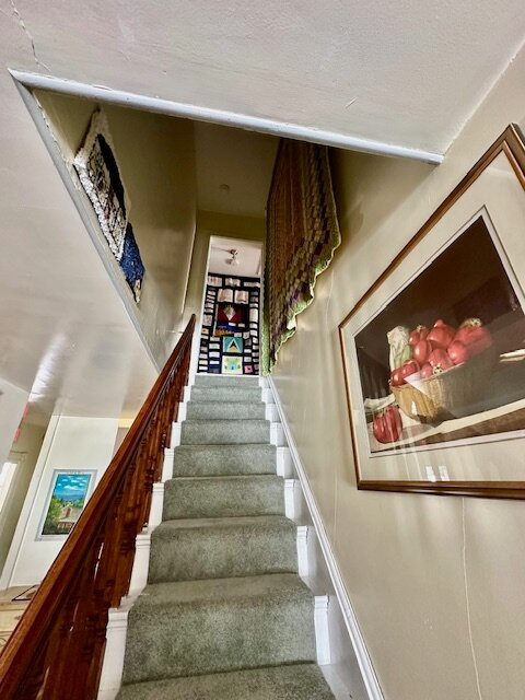 Mecklenburgh Inn主图