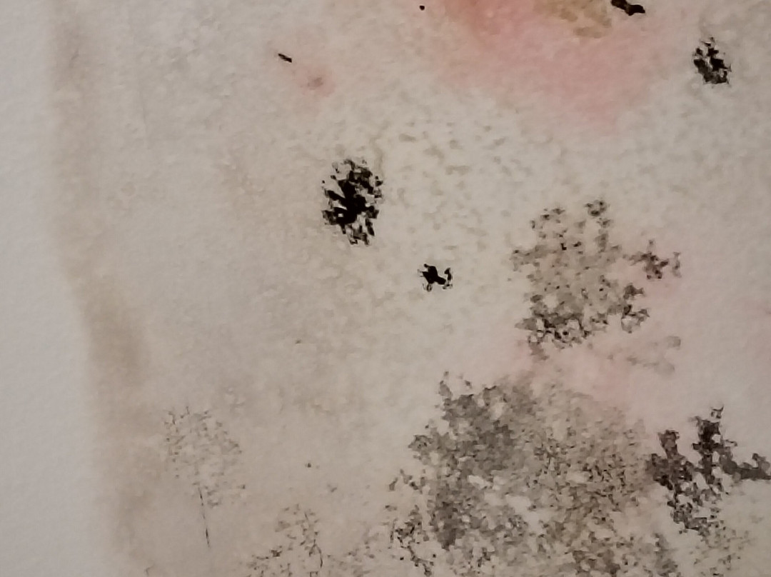 La Quinta Inn & Suites by Wyndham Dodge City主图