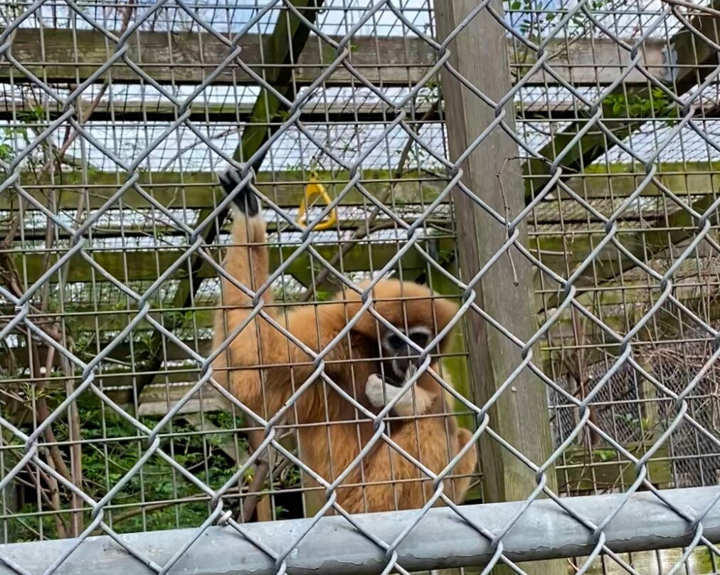 TGR Exotics Wildlife Park-斯普林必去景点