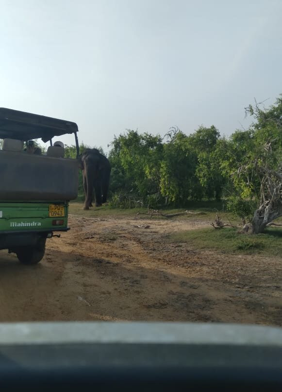 Roshan Safari景点图片