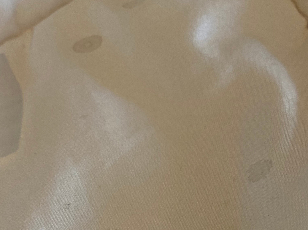 卡德兰特酒店主图