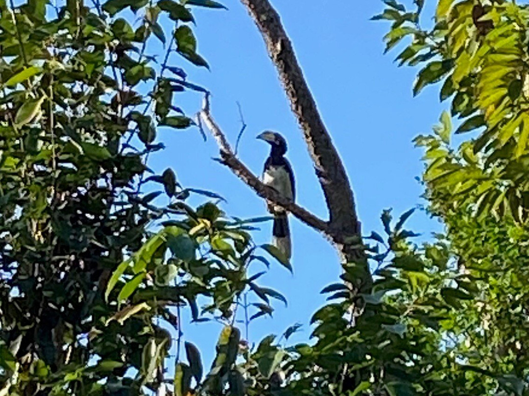 Borgos Resort & Spa主图