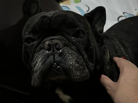 Pousada Mirante Santo Antonio主图