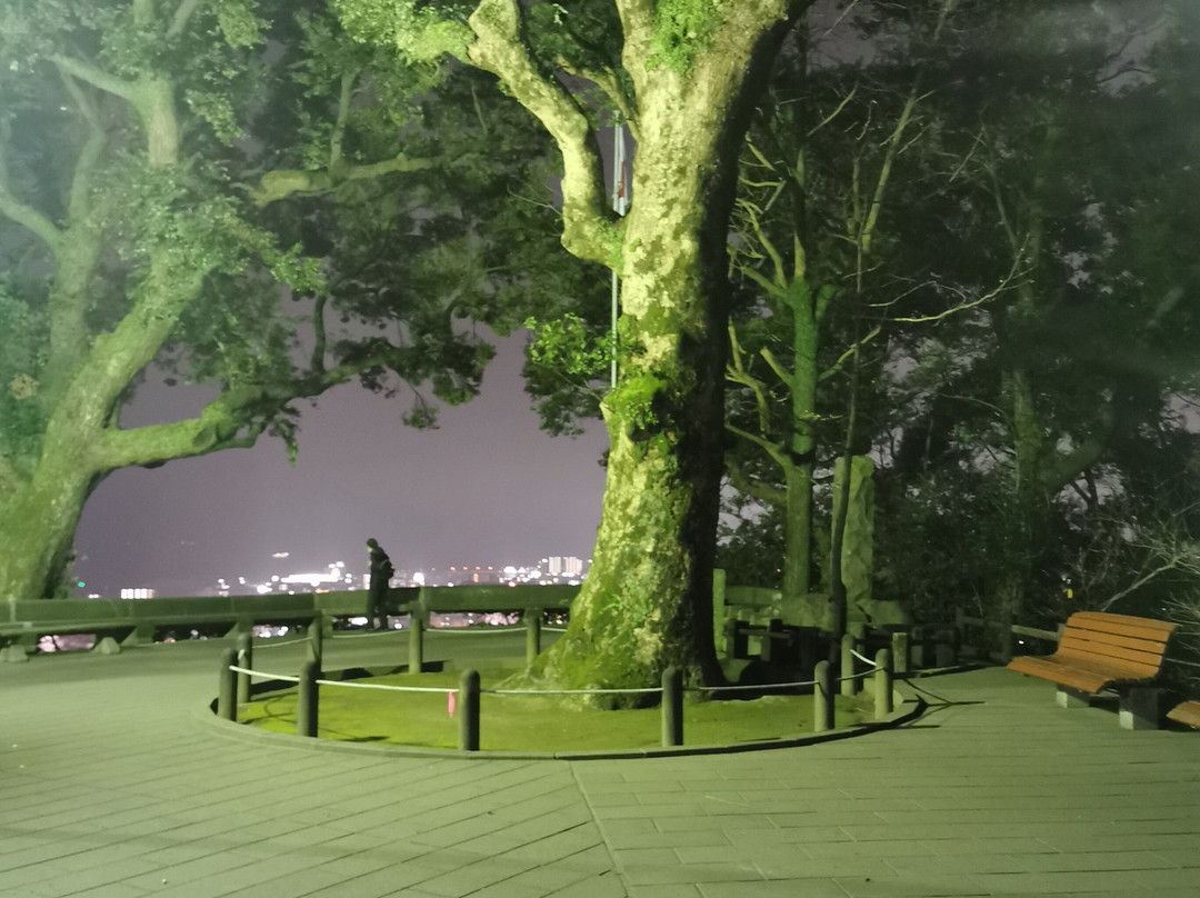 城山展望台景点图片