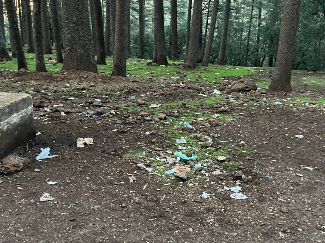 Cèdre Gouraud-Azrou必去景点