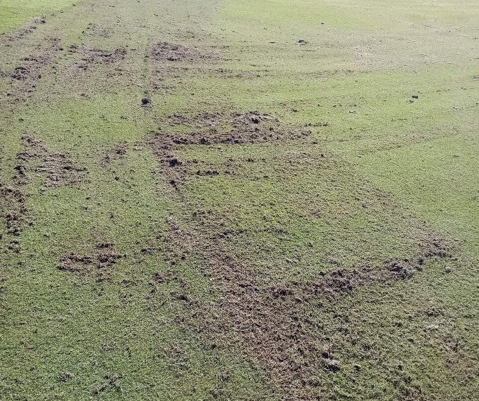 Zimbali Golf Course-德班必去景点