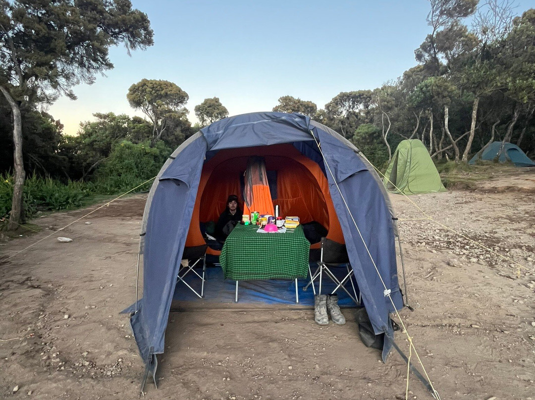 Kilimanjaro Vikings Adventures-莫西必去景点