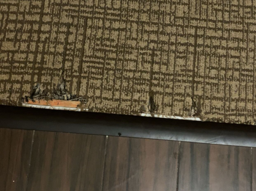 Comfort Inn & Suites主图