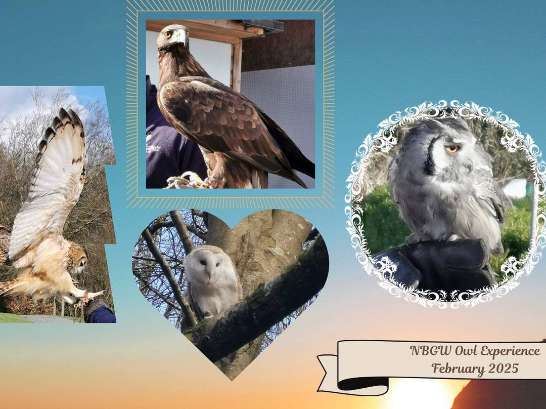 National Botanic Garden of Wales景点图片
