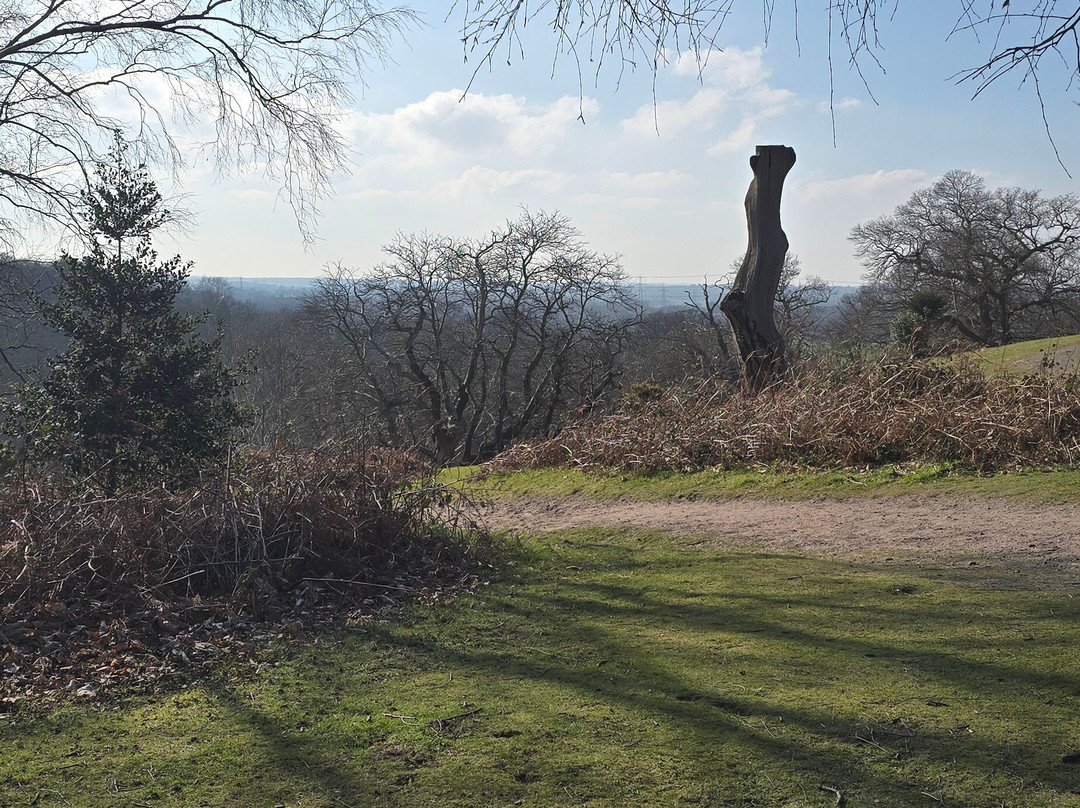 Shorne Woods Country Park景点图片