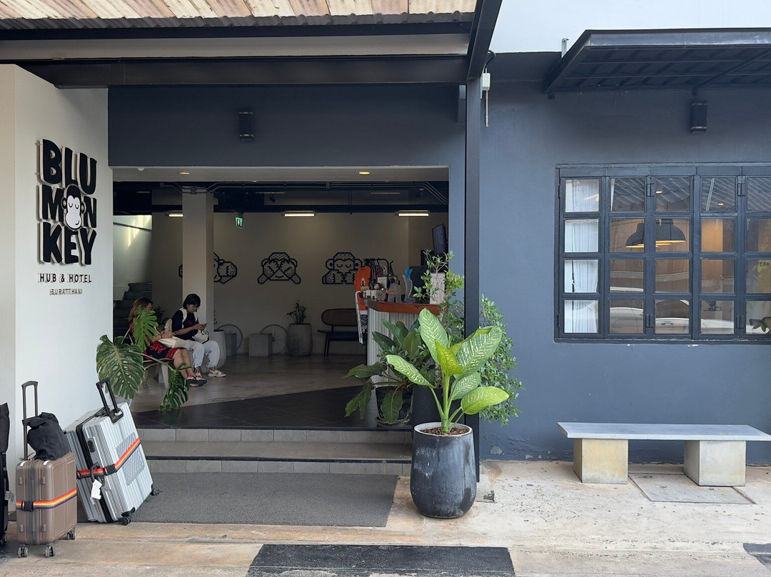 Blu Monkey Hub & Hotel Suratthani主图