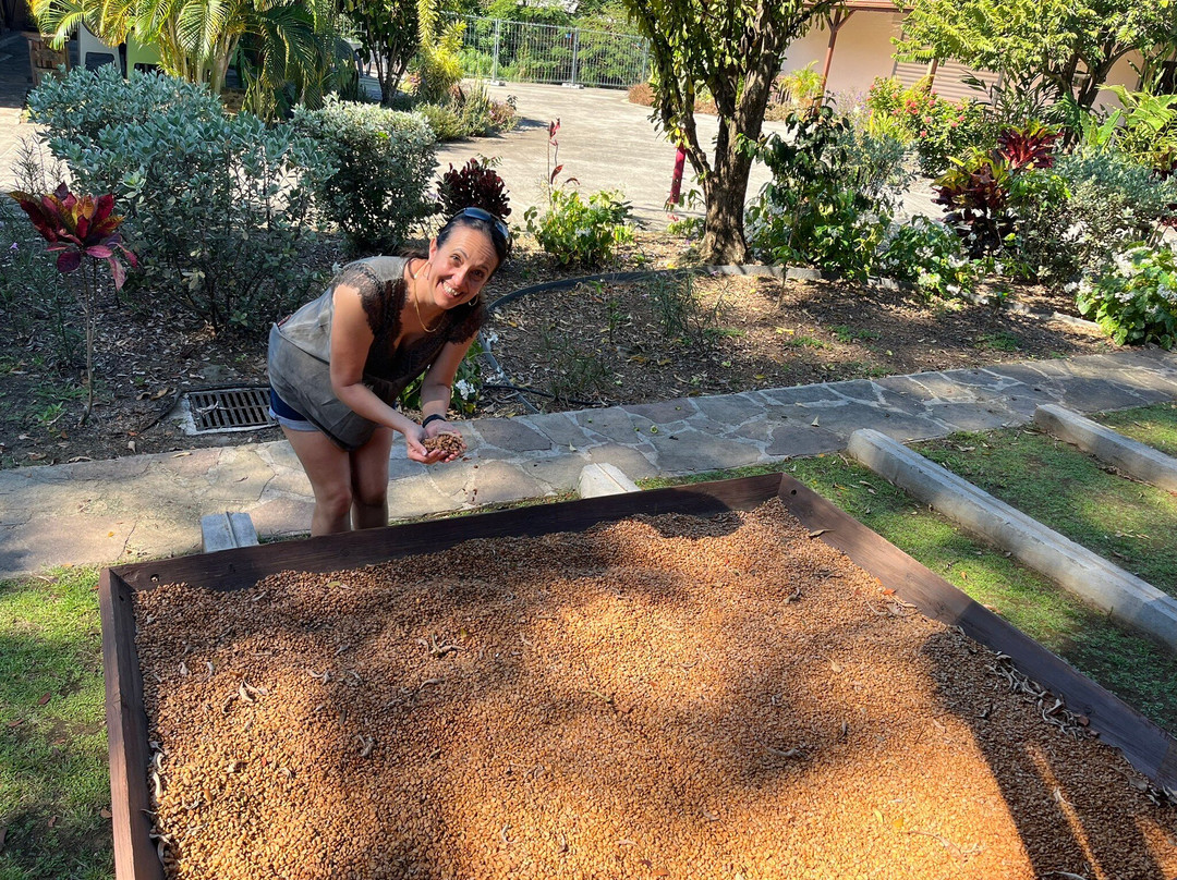 Cafe Chaulet - Musee du Cafe-Vieux-Habitants必去景点