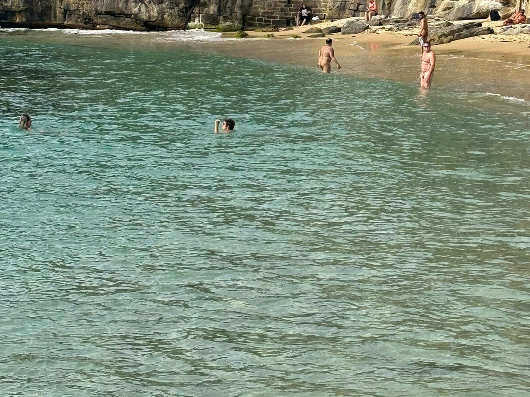 淑女湾-悉尼必去景点