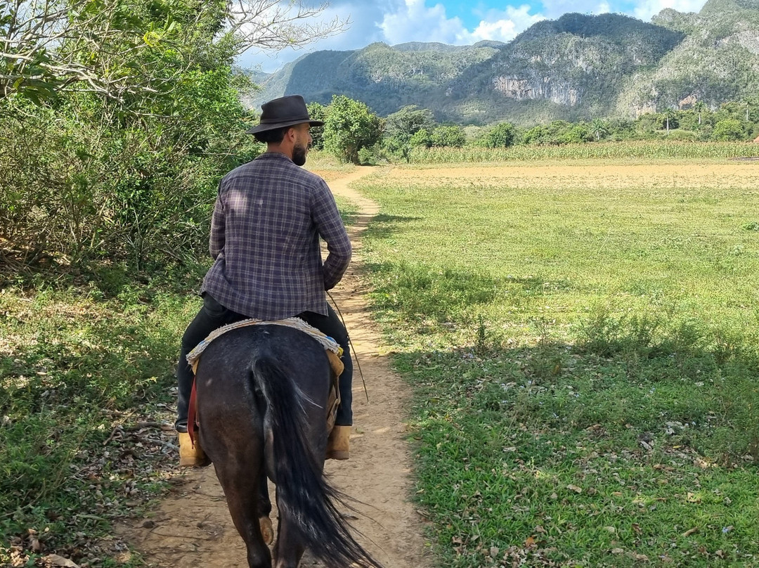 JMC Vinales Aventura景点图片