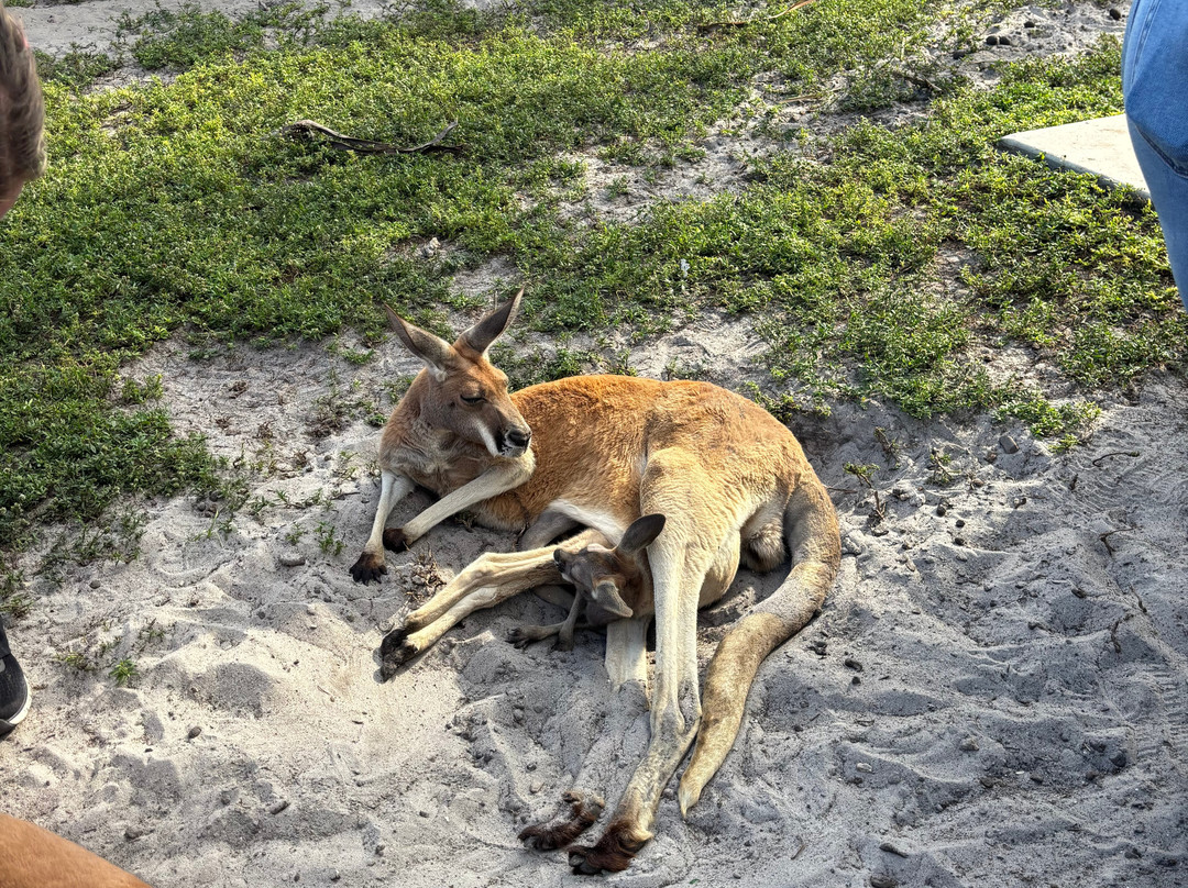 Animal Edventure Park-博因顿海滩必去景点
