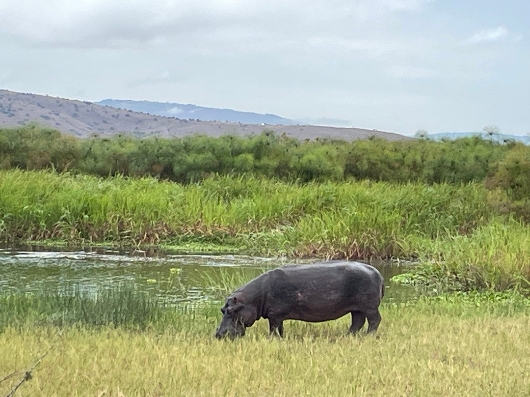 2-Days Akagera Wilderness Experience: Big 5 & Highest peak Camping-Kayonza必去景点