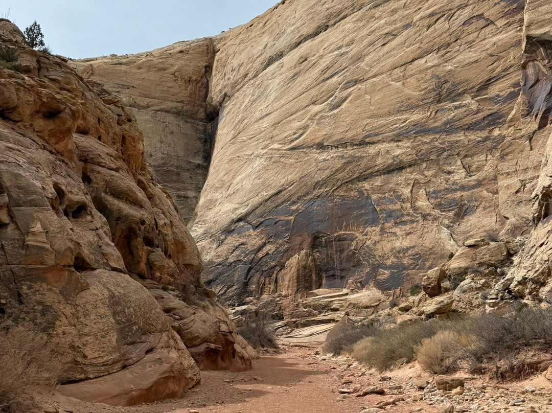 Grand Wash Trail景点图片