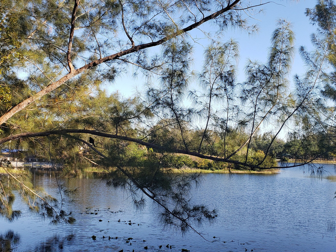 C.B. Smith Park-彭布罗克派恩斯必去景点